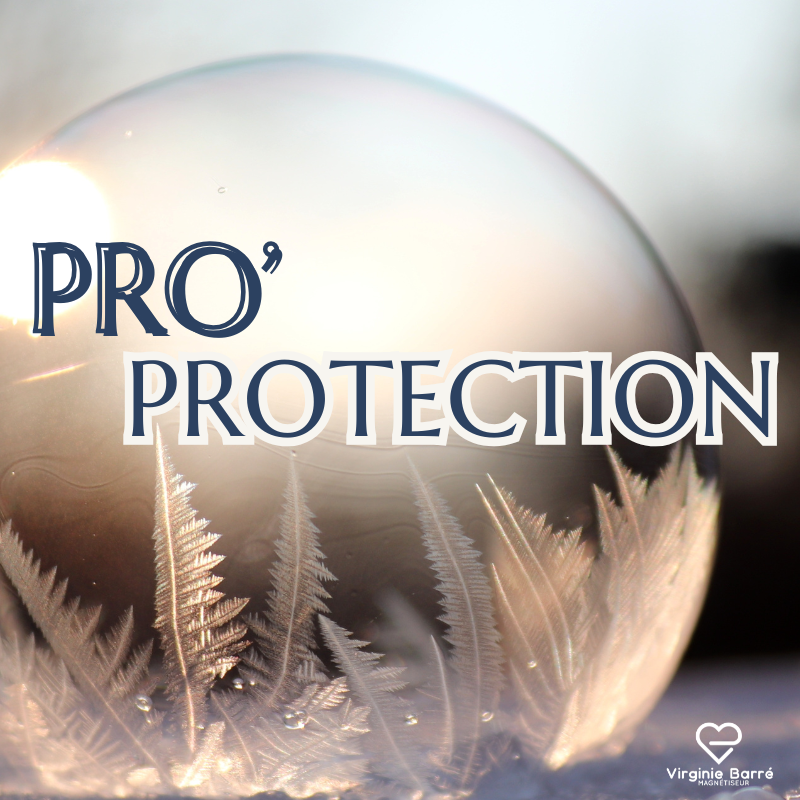 Pro’Protection